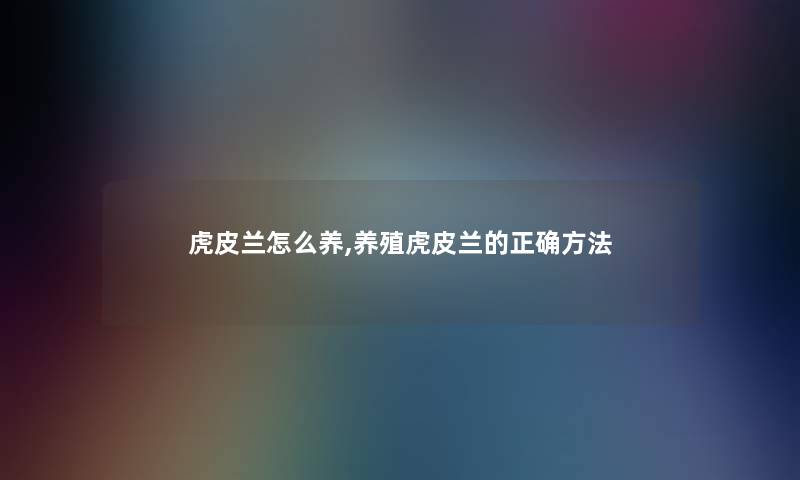 虎皮兰怎么养,养殖虎皮兰的正确方法