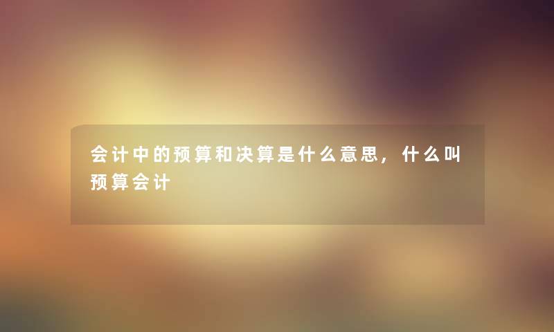会计中的预算和决算是什么意思,什么叫预算会计