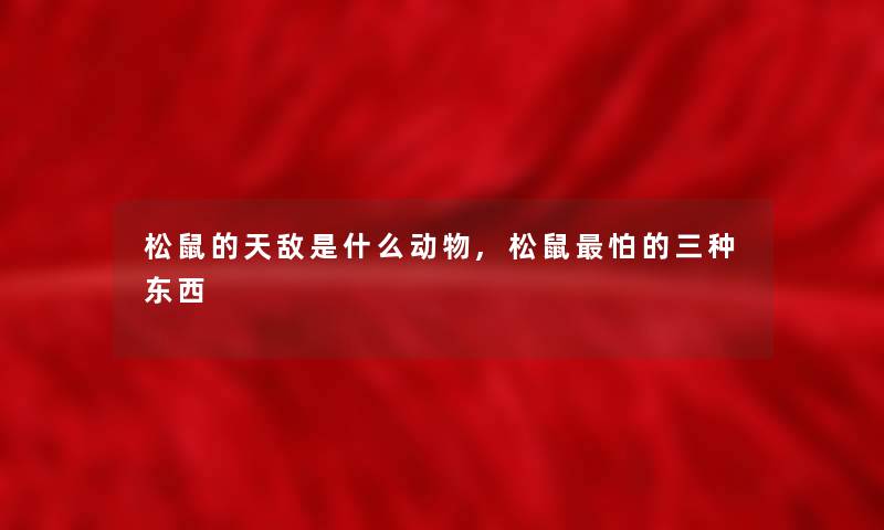 松鼠的天敌是什么动物,松鼠怕的三种东西 松鼠的天敌是什么动物,松鼠怕的三种东西