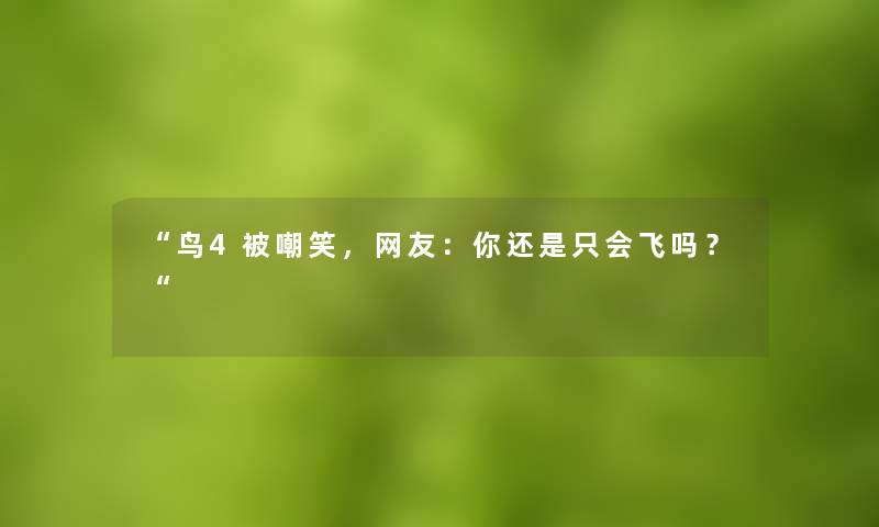 鸟4被嘲笑，网友：你还是只会飞吗？