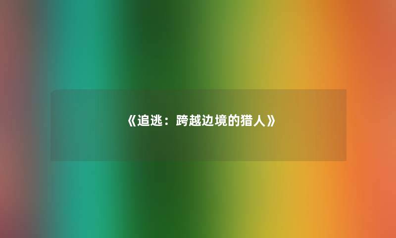 《追逃：跨越边境的猎人》