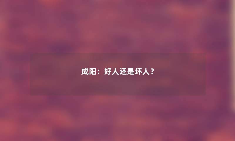 成阳：好人还是坏人？