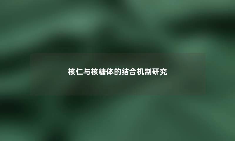 核仁与核糖体的结合机制研究 核仁与核糖体的结合机制研究