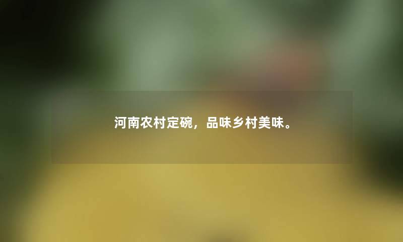 河南农村定碗，品味乡村美味。