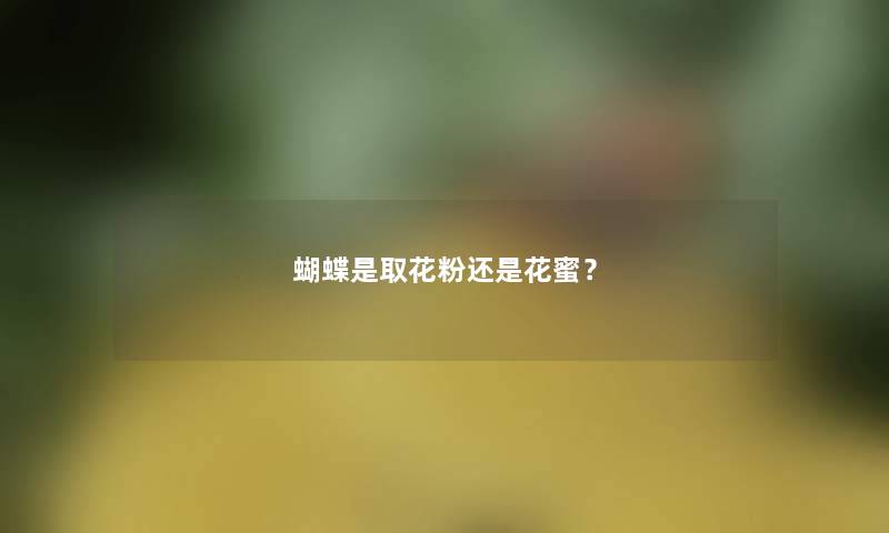 蝴蝶是取花粉还是花蜜？