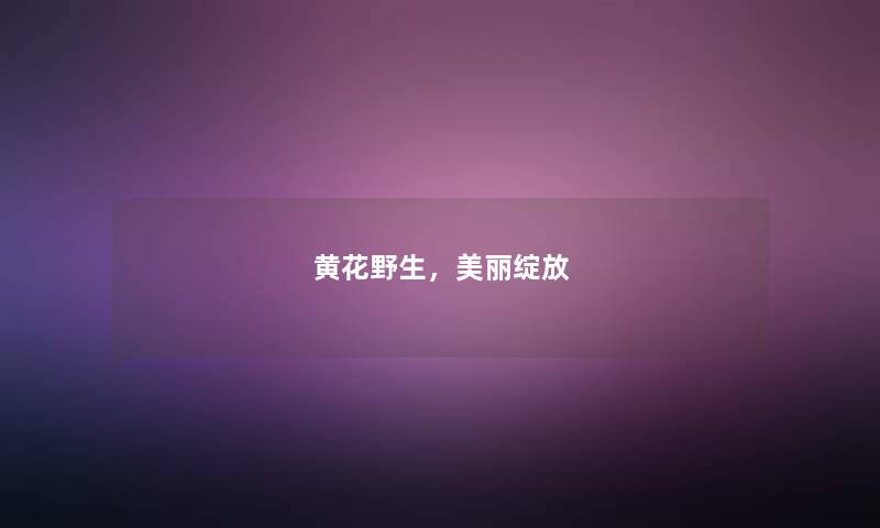 黄花野生，美丽绽放