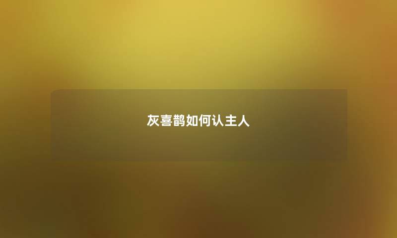 灰喜鹊如何认主人