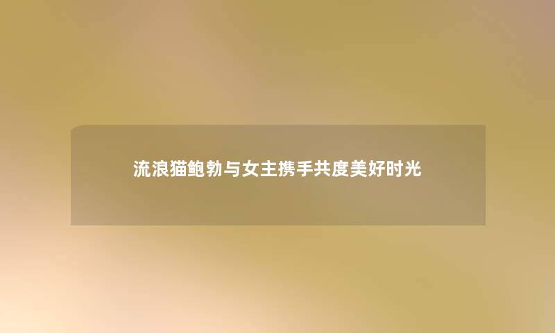 流浪猫鲍勃与女主携手共度美好时光