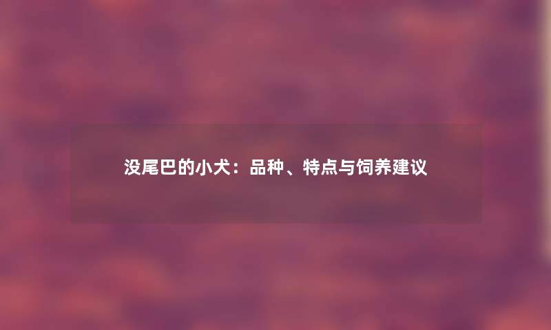 没尾巴的小犬：品种、特点与饲养建议