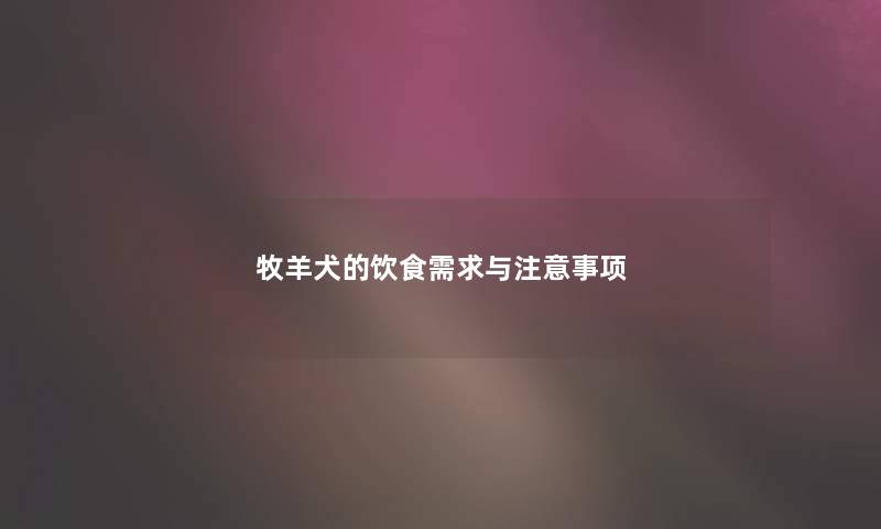 牧羊犬的饮食需求与注意事项