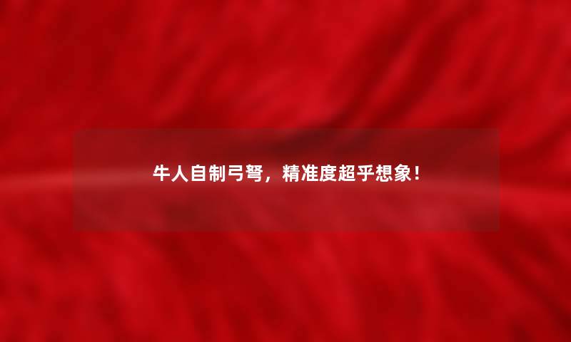 牛人自制弓弩，精准度超乎想象！