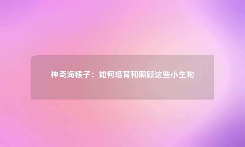 神奇海猴子：如何培育和照顾这些小生物