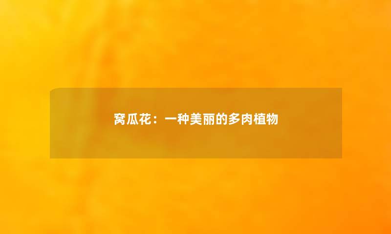 窝瓜花：一种美丽的多肉植物