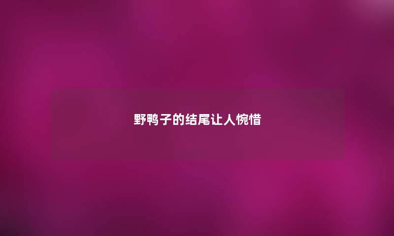野鸭子的让人惋惜 野鸭子的让人惋惜