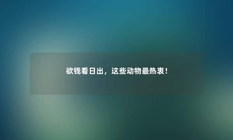 欲钱看日出,这些动物热衷! 欲钱看日出,这些动物热衷!
