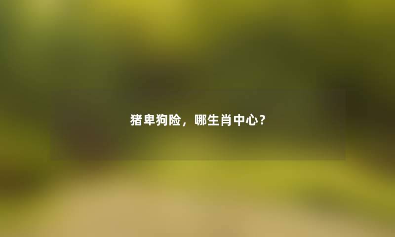 猪卑狗险，哪生肖中心？