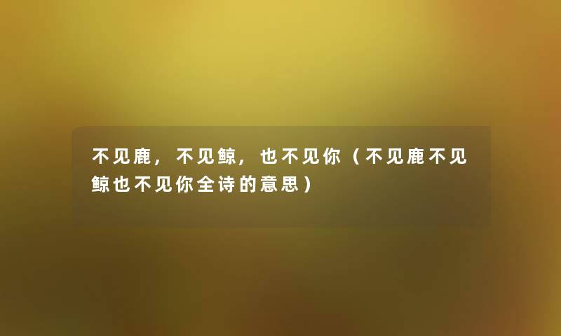 不见鹿,不见鲸,也不见你（不见鹿不见鲸也不见你全诗的意思）