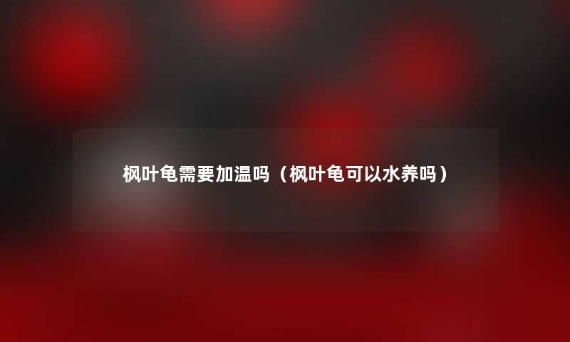 枫叶龟需要加温吗（枫叶龟可以水养吗）