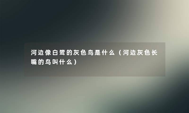 河边像白鹭的灰色鸟是什么（河边灰色长嘴的鸟叫什么）
