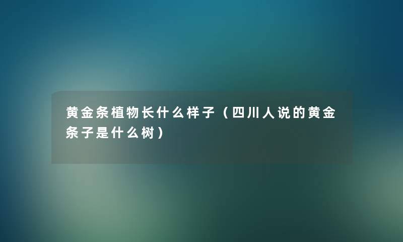 黄金条植物长什么样子(四川人说的黄金条子是什么树) 黄金条植物长什么样子(四川人说的黄金条子是什么树)