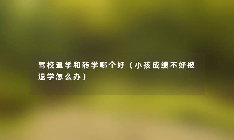 驾校退学和转学哪个好(小孩成绩不好被退学怎么办) 驾校退学和转学哪个好(小孩成绩不好被退学怎么办)