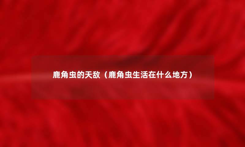 鹿角虫的天敌（鹿角虫生活在什么地方）