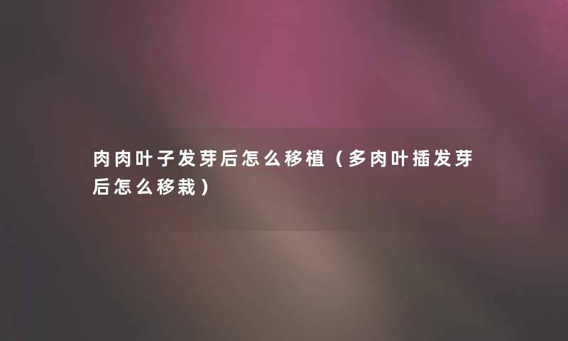 肉肉叶子发芽后怎么移植(多肉叶插发芽后怎么移栽) 肉肉叶子发芽后怎么移植(多肉叶插发芽后怎么移栽)