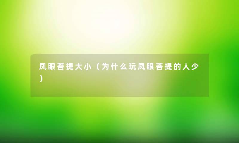 凤眼菩提大小(为什么玩凤眼菩提的人少) 凤眼菩提大小(为什么玩凤眼菩提的人少)