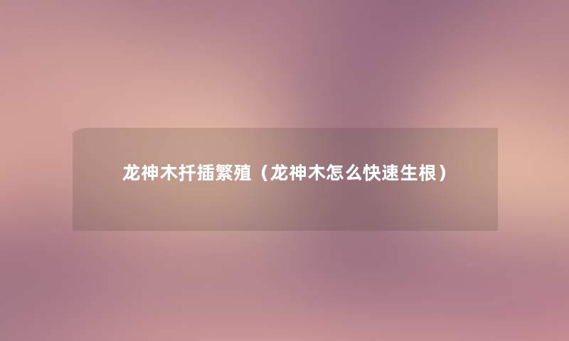 龙神木扦插繁殖（龙神木怎么快速生根）