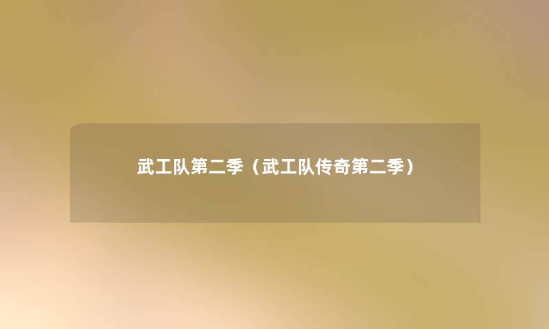 武工队第二季(武工队传奇第二季) 武工队第二季(武工队传奇第二季)