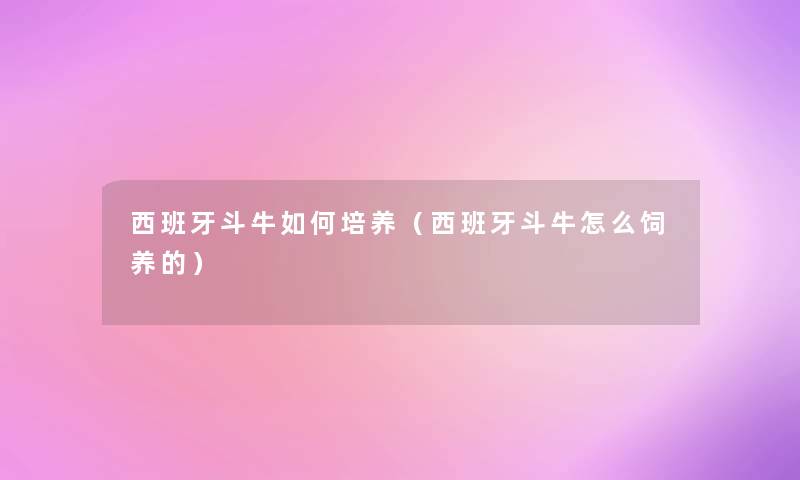 西班牙斗牛如何培养(西班牙斗牛怎么饲养的) 西班牙斗牛如何培养(西班牙斗牛怎么饲养的)