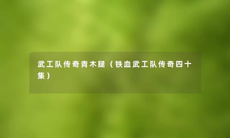 武工队传奇青木腿(铁血武工队传奇四十集) 武工队传奇青木腿(铁血武工队传奇四十集)