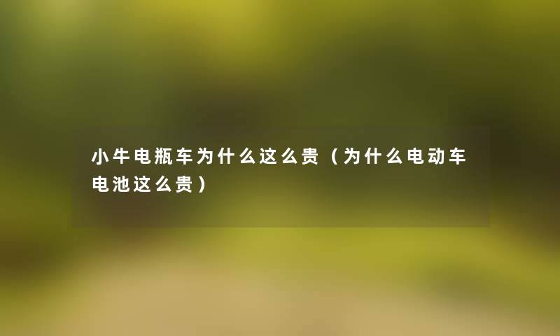 小牛电瓶车为什么这么贵(为什么电动车电池这么贵) 小牛电瓶车为什么这么贵(为什么电动车电池这么贵)