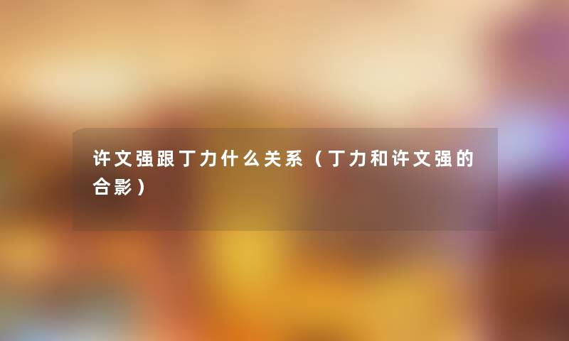 许文强跟丁力什么关系（丁力和许文强的合影）