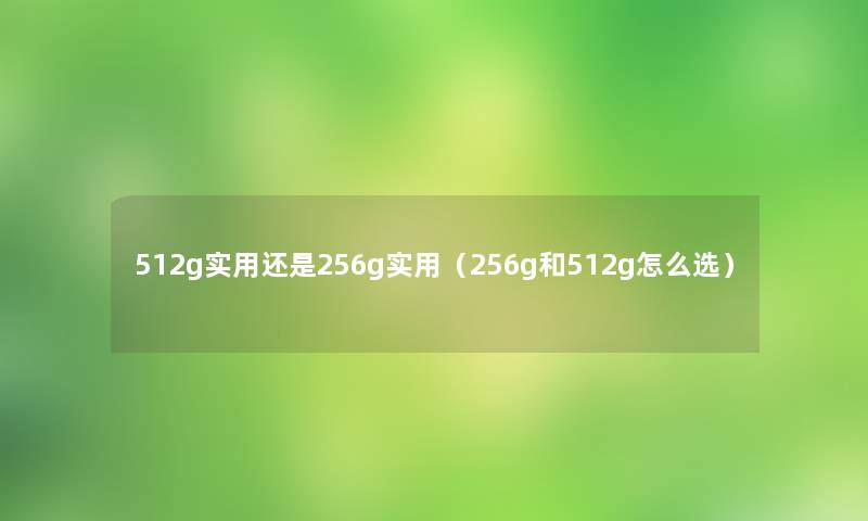 512g实用还是256g实用(256g和512g怎么选) 512g实用还是256g实用(256g和512g怎么选)