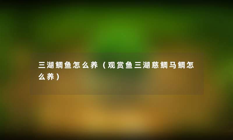 三湖鲷鱼怎么养(观赏鱼三湖慈鲷马鲷怎么养) 三湖鲷鱼怎么养(观赏鱼三湖慈鲷马鲷怎么养)