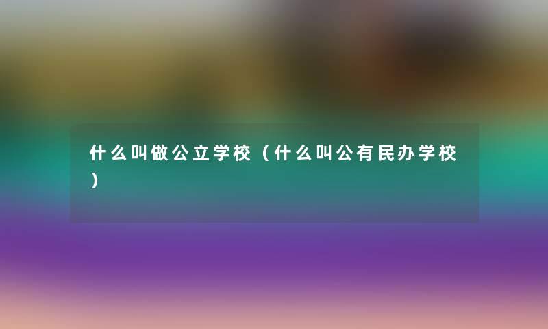 什么叫做公立学校（什么叫公有民办学校）