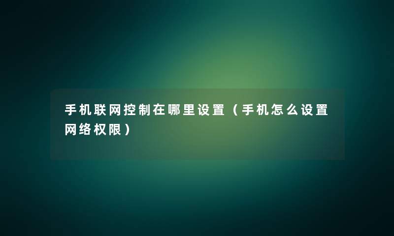 手机联网控制在哪里设置（手机怎么设置网络权限）
