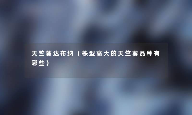 天竺葵达布纳(株型高大的天竺葵品种有哪些) 天竺葵达布纳(株型高大的天竺葵品种有哪些)