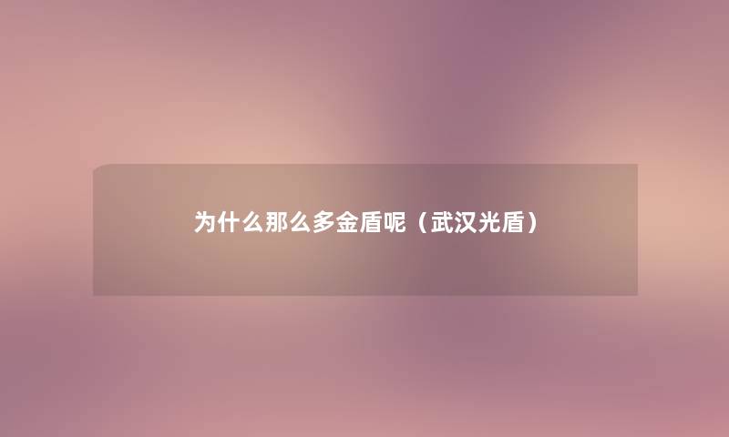 为什么多金盾呢(武汉光盾) 为什么多金盾呢(武汉光盾)