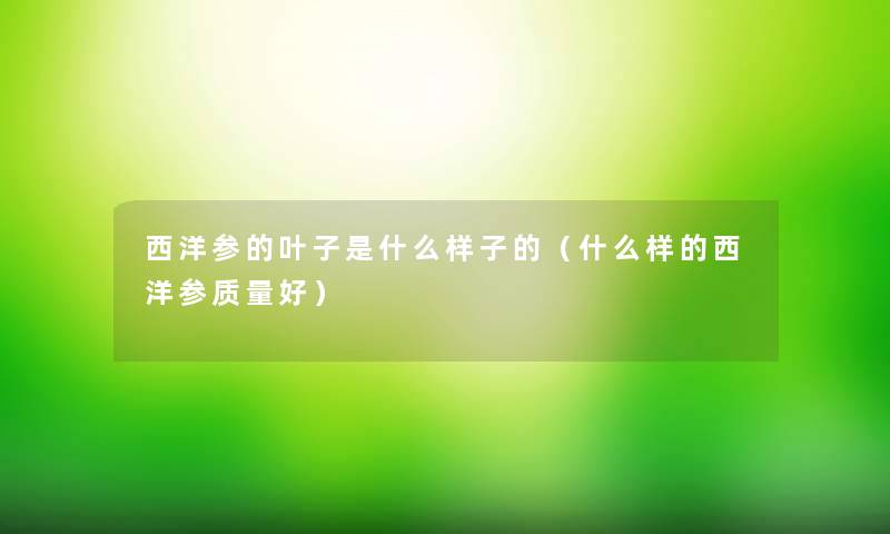 西洋参的叶子是什么样子的(什么样的西洋参质量好) 西洋参的叶子是什么样子的(什么样的西洋参质量好)