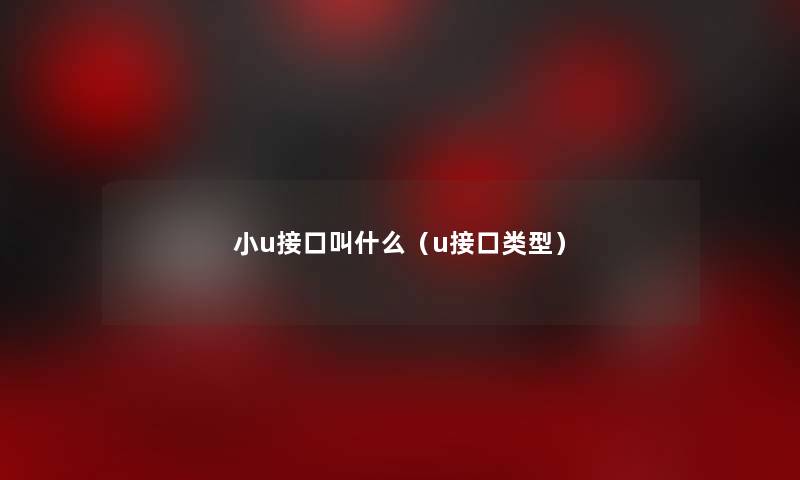 小u接口叫什么(u接口类型) 小u接口叫什么(u接口类型)