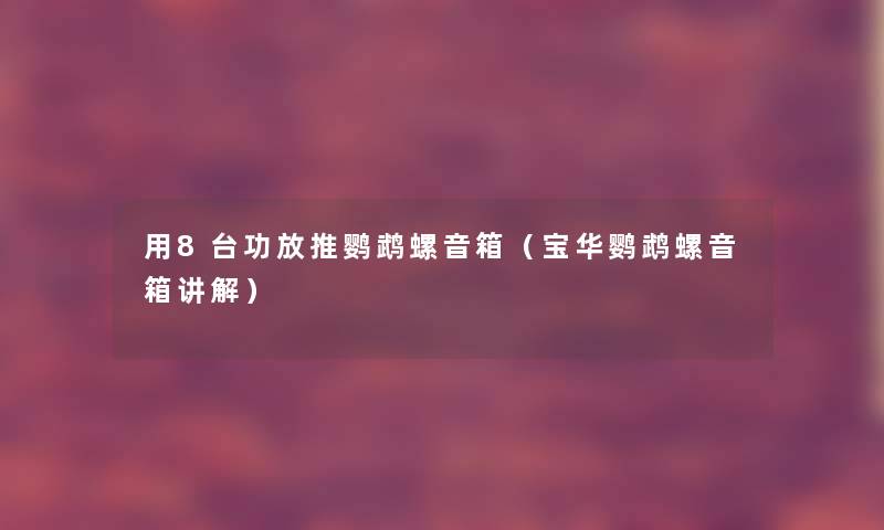 用8台功放推鹦鹉螺音箱（宝华鹦鹉螺音箱讲解）