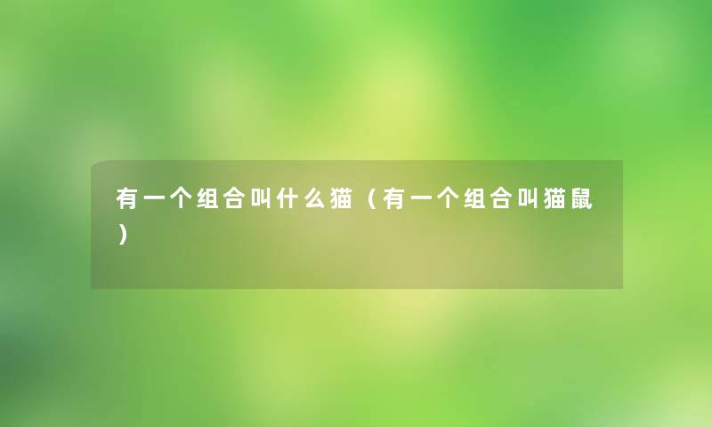 有一个组合叫什么猫(有一个组合叫猫鼠) 有一个组合叫什么猫(有一个组合叫猫鼠)