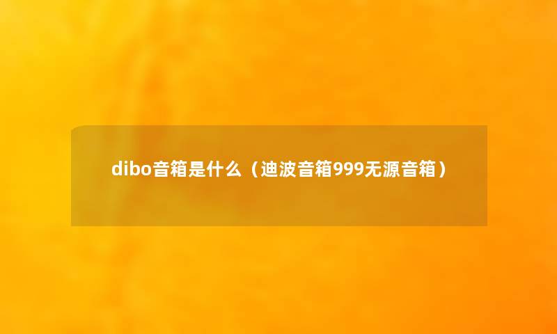 dibo音箱是什么（迪波音箱999无源音箱）