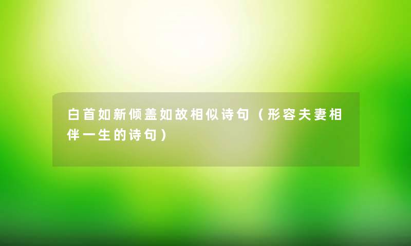 白首如新倾盖如故相似诗句（形容夫妻相伴一生的诗句）