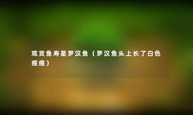 观赏鱼寿星罗汉鱼（罗汉鱼头上长了白色痘痘）
