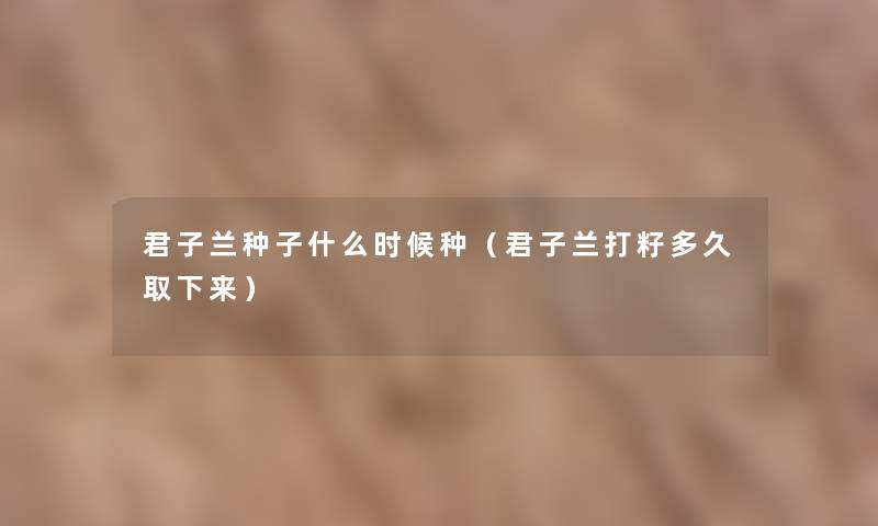 君子兰种子什么时候种(君子兰打籽多久取下来) 君子兰种子什么时候种(君子兰打籽多久取下来)