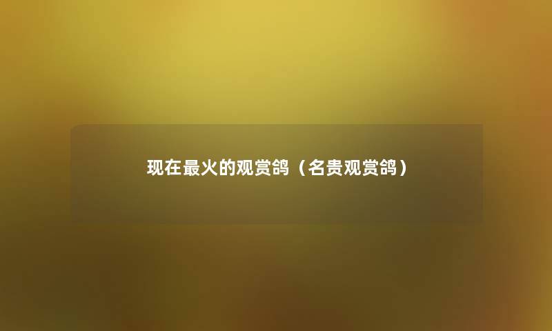 火的观赏鸽(名贵观赏鸽) 火的观赏鸽(名贵观赏鸽)