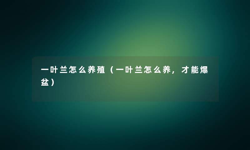 一叶兰怎么养殖(一叶兰怎么养,才能爆盆) 一叶兰怎么养殖(一叶兰怎么养,才能爆盆)